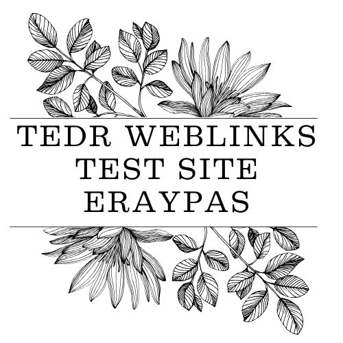 tedrweblinkstestsiteraypas